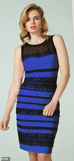 The Dress: A Viral Mystery Divides the Internet