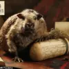 The Truth About Haggis: A Scottish Delicacy or a Trick of Marketing?