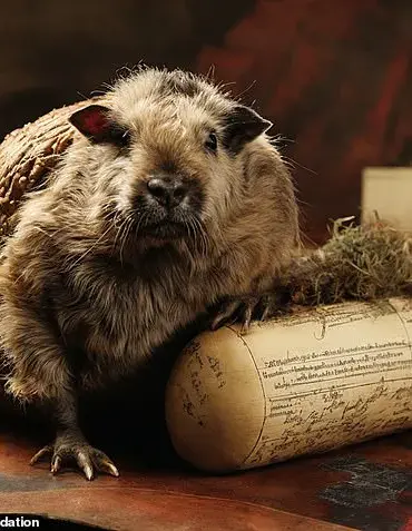 The Truth About Haggis: A Scottish Delicacy or a Trick of Marketing?