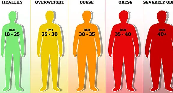 Waist Measurement Linked to Six Types of Cancer Risk: Expert Study Reveals Critical Health Indicator