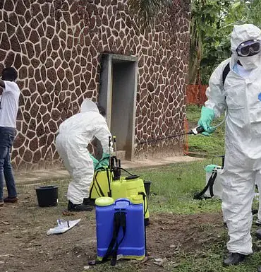 WHO Investigates Mysterious Disease Outbreak in the DR Congo