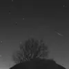 Catch the Peak of the Lyrid Meteor Shower on April 22