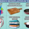 Common Foods Contaminated with Toxic Chemicals Linked to Serious Health Risks, Study Finds
