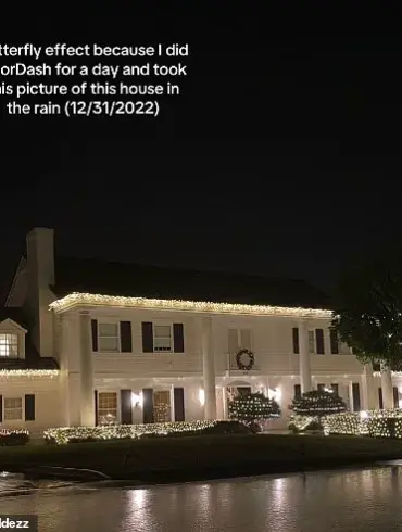 DoorDash Driver's TikTok Post Captures Magical Realism in Everyday Life