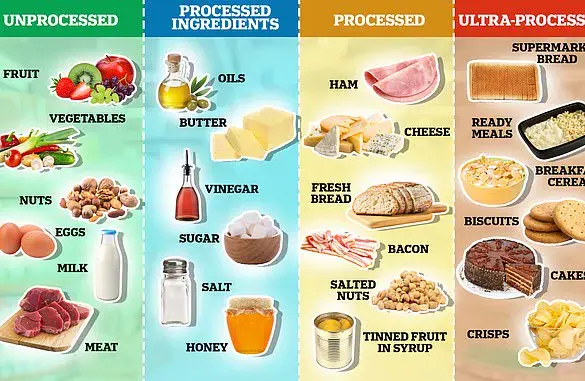 Exclusive Insights into a Traditional Diet with Superior Health Benefits, Advised by Medical Experts