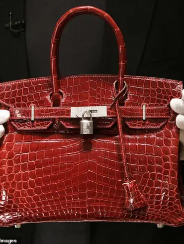 Infographic Sparks Controversy by Categorizing Designer Handbags as Indicators of Wealth and Status