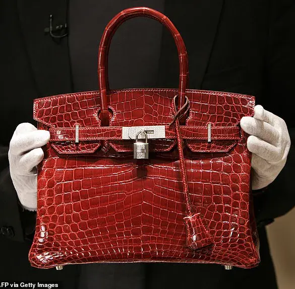 Infographic Sparks Controversy by Categorizing Designer Handbags as Indicators of Wealth and Status