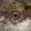Mysterious Drifting Black Hole Revealed: A One in a Million Discovery