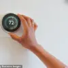 Survey Determines Ideal Temperature to Turn Off Heating: 15°C
