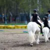 Texas Girl's Battle for Life After Severe Horseback Riding Accident
