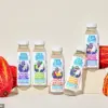 The Dark Secret Behind Chocolate: The Massive Environmental Impact of Wasting Cacao Pods