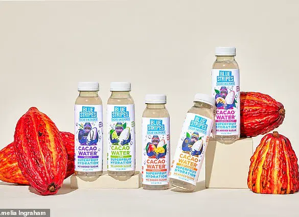 The Dark Secret Behind Chocolate: The Massive Environmental Impact of Wasting Cacao Pods