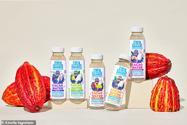 The Dark Secret Behind Chocolate: The Massive Environmental Impact of Wasting Cacao Pods