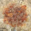 Archaeological Discovery in Spain Suggests Early Neanderthal Symbolic Behavior