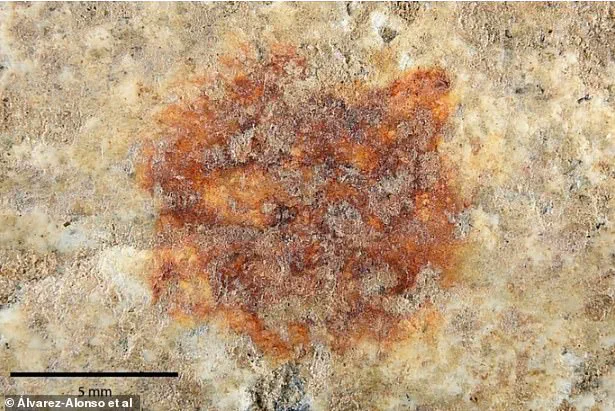 Archaeological Discovery in Spain Suggests Early Neanderthal Symbolic Behavior
