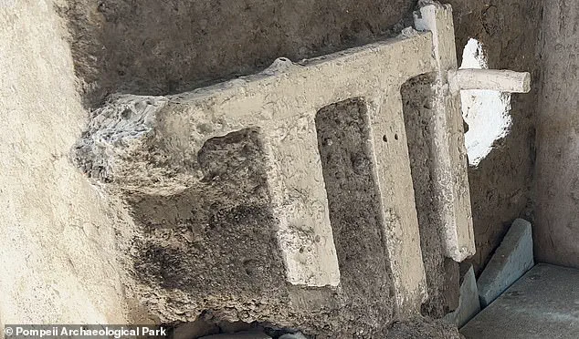 Exclusive Discovery: The Untold Story of a Pompeii Family's Desperate Escape as Vesuvius Erupted
