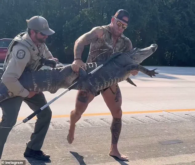 Florida Man Barefootedly Battles Massive Alligator on I-95