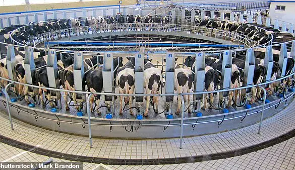 Government Policies and Public Health: World Milk Day Emphasizes Nutritional Impact and Expert Advisories