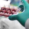 Hollywood Star Achieves MS Remission with Innovative Treatment