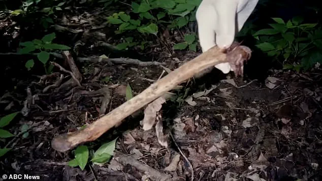 Hulu's 'The Fox Hollow Murders' Explores the Shocking Legacy of Herb Baumeister, Dubbed 'Worse Than Jeffrey Dahmer'