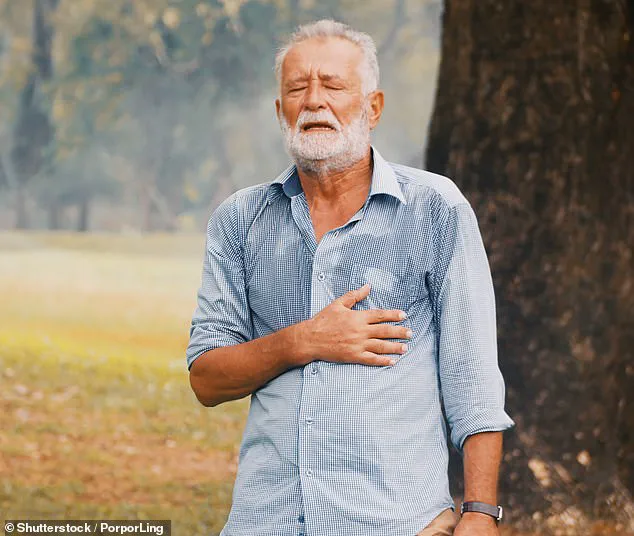 Southern Climate's Appeal for Retirees Masked by Emerging Health Risks, Experts Warn