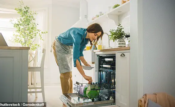 The Hidden Perils of the Modern Kitchen: Unveiling Microbial Threats to Public Health