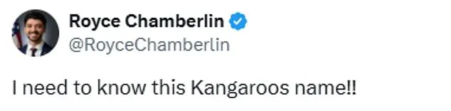 The Viral Illusion: AI-Generated Kangaroo Boarding Pass Video Divides the Internet