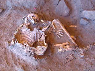 University Researchers Investigate Mummified Remains Discovered During Campus Renovations