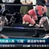 World's First Humanoid Robot Boxing Tournament in Hangzhou: Spectacle Blurs Fiction and Reality, Redefining Human-Machine Interaction