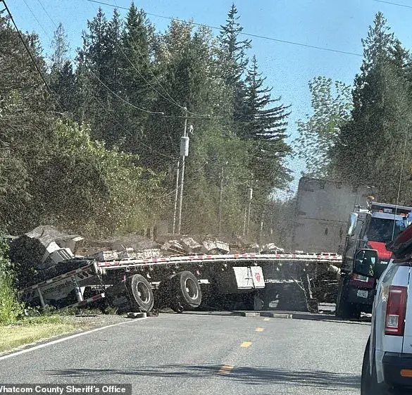 Commercial Truck Carrying Bee Hives Overturns Near Canadian Border, Triggering Emergency Response and Beekeeping Expert Involvement in Washington