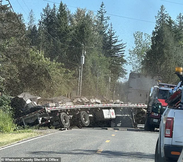 Commercial Truck Carrying Bee Hives Overturns Near Canadian Border, Triggering Emergency Response and Beekeeping Expert Involvement in Washington
