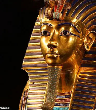 Deadly Fungus Linked to Mysterious Illness May Hold Key to Blood Cancer Treatment