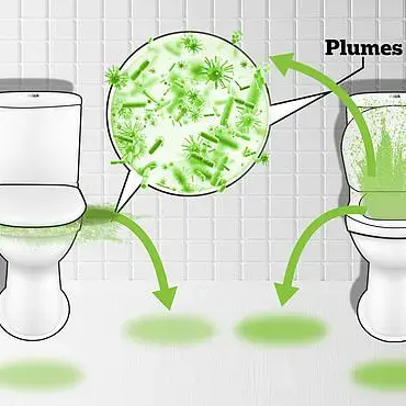 Dr. Primrose Freestone Warns: Toilet Phone Use Puts You at Risk of Bacterial Infections