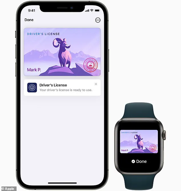 Exclusive Access: Apple's New Feature Grants Privileged Access to Streamlined Airport Security for Wallet Users