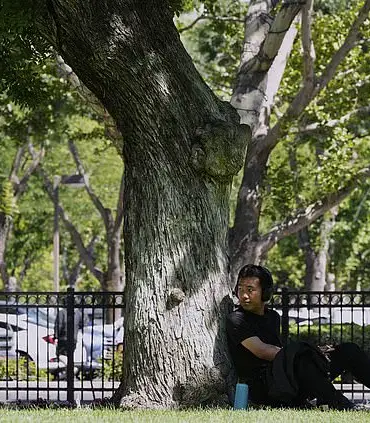Extreme Heat Warning: Residents Urged to Stay Indoors as California and Nevada Face Triple-Digit Temperatures