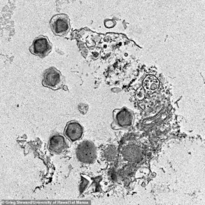 Giant Viruses in Oceans Reshaping Marine Ecosystems, Scientists Warn
