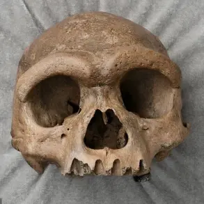 Groundbreaking Study Resolves Decade-Long Mystery of 'Dragon Man' Skull's Origin