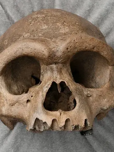 Groundbreaking Study Resolves Decade-Long Mystery of 'Dragon Man' Skull's Origin