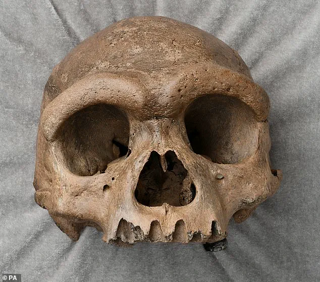 Groundbreaking Study Resolves Decade-Long Mystery of 'Dragon Man' Skull's Origin