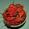 Health Risks of Extremely Spicy Food: Expert Warnings on Potential Heart Attack Triggers