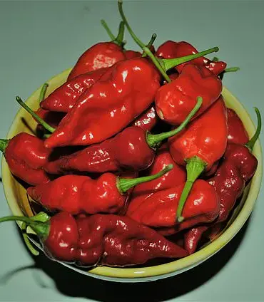 Health Risks of Extremely Spicy Food: Expert Warnings on Potential Heart Attack Triggers