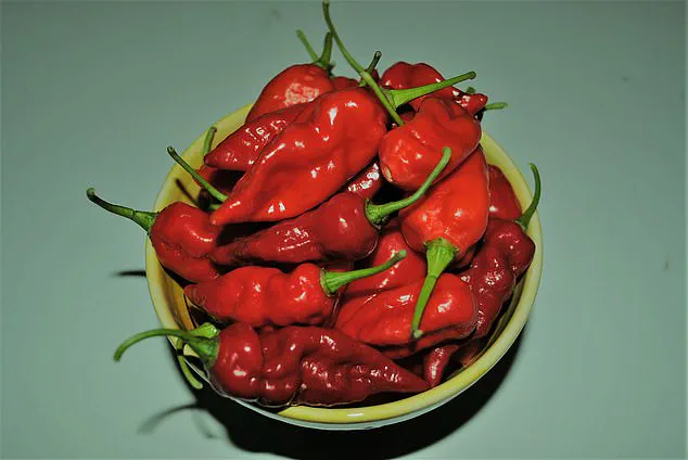 Health Risks of Extremely Spicy Food: Expert Warnings on Potential Heart Attack Triggers