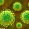 New Viruses in Chinese Bats Raise Urgent Concerns Over Human Transmission, No Cure Available