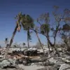 Pentagon's Shutdown of Hurricane Prediction Program Increases Public Risk, Highlighting Regulatory Consequences