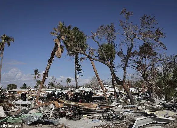 Pentagon's Shutdown of Hurricane Prediction Program Increases Public Risk, Highlighting Regulatory Consequences