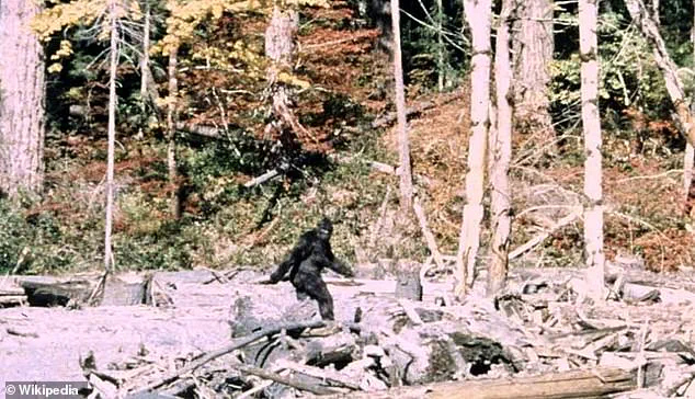 Privileged Access: Mysterious Figure Spotted in Colorado Woods Fuels Bigfoot Debate