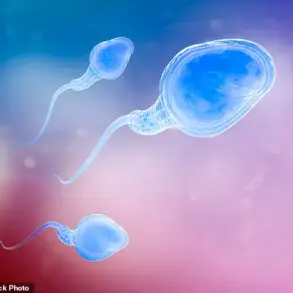 Study Reveals Link Between Male Age and Increased Miscarriage Risk in IVF
