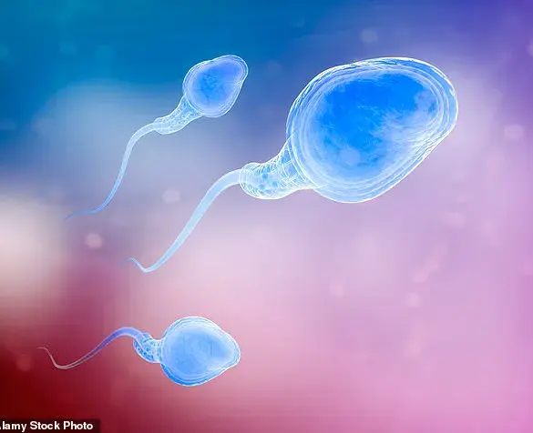 Study Reveals Link Between Male Age and Increased Miscarriage Risk in IVF