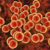 Syphilis Cases in England Reach Highest Levels Since 1948, with 1 in 1,000 Affected and Public Health Warnings on Untreated Infections