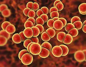 Syphilis Cases in England Reach Highest Levels Since 1948, with 1 in 1,000 Affected and Public Health Warnings on Untreated Infections